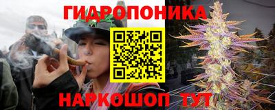 твердый Лесосибирск