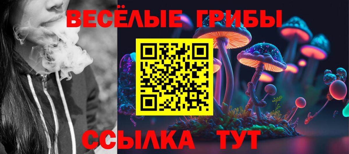 Псилоцибиновые грибы ЛСД  где можно купить наркотик  Долгопрудный  Вход с VPN 
