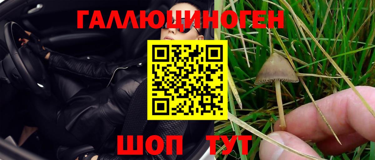 Псилоцибиновые грибы прущие грибы Долгопрудный